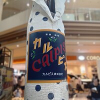 出勤しました❤️