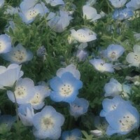 さいしゅうび🌷