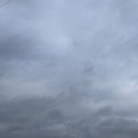 すず