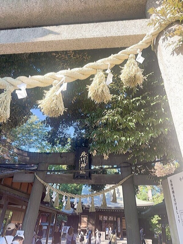おはよう🌞