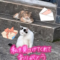 本指名のS様o(^o^)o