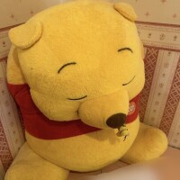 負けた😜