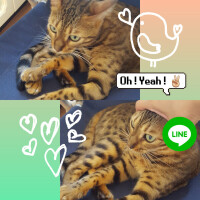 本指名のH様＼(^-^)／