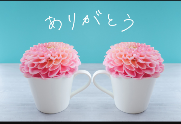 Ｋ様❤️