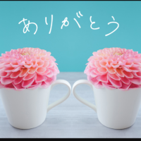 ゆうな
