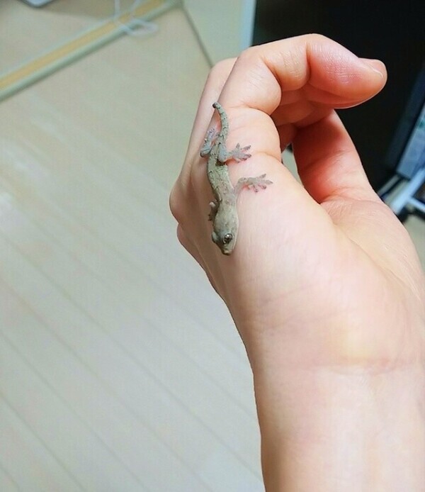 可愛いお客様🧡