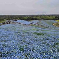 はるか