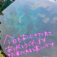 れみ