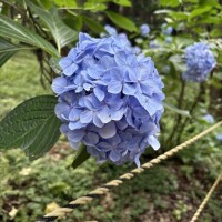 本日出勤です❤️‍🔥🖐🏻