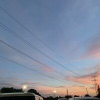 もな