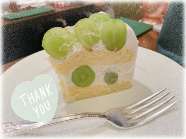 おはようございます🌼