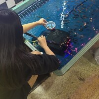 まゆ