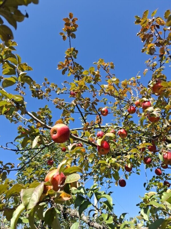 本日9時半～出勤します😊