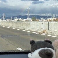 出勤しました〜