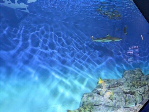 本業の合間に‥