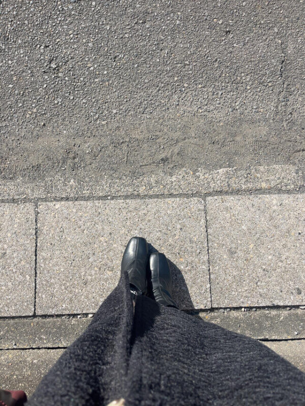 今日は日向ぼっこ日和☺️☀️