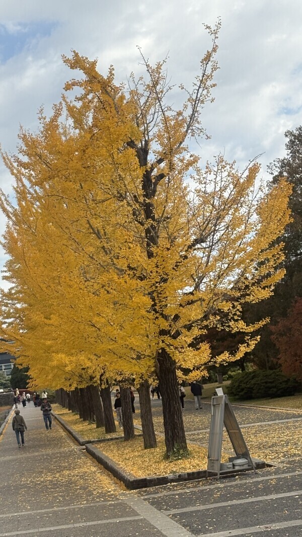 出勤しました❣️