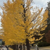 出勤しました❣️