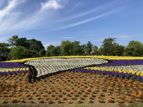 おはようございます( ˶˙ᵕ˙˶ )☀️