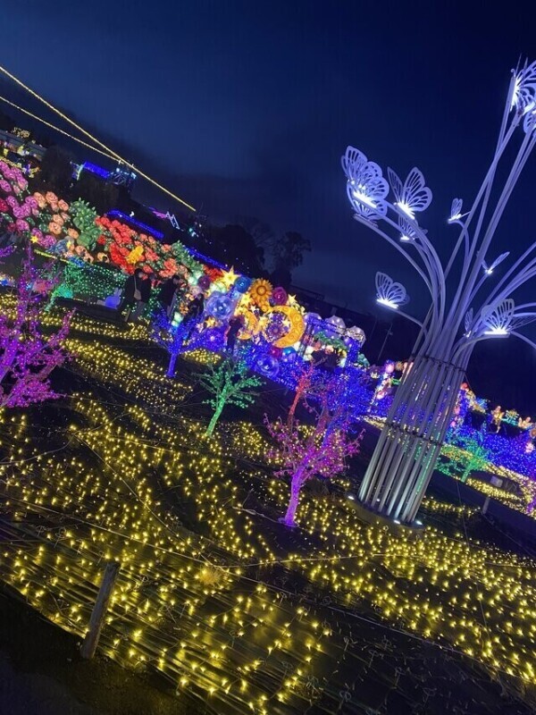 𝐺𝑜𝑜𝑑 𝑚𝑜𝑟𝑛𝑖𝑛𝑔︎‪🔆‬