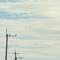 Good  morning‪🔆‬