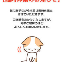 ごめんなさい🥹