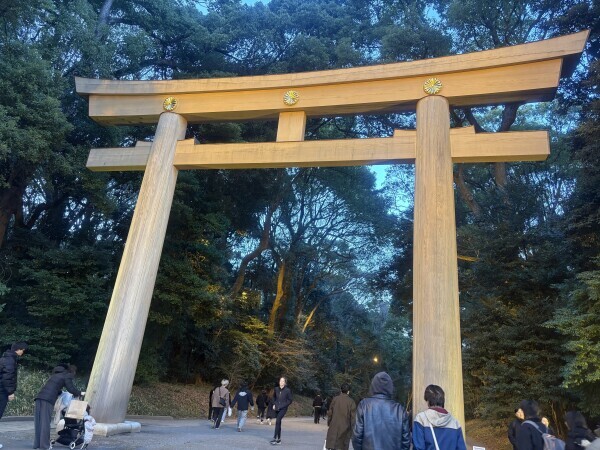 明日は夜にいます🕯✨