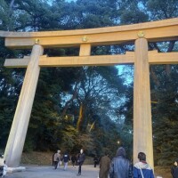 明日は夜にいます🕯✨