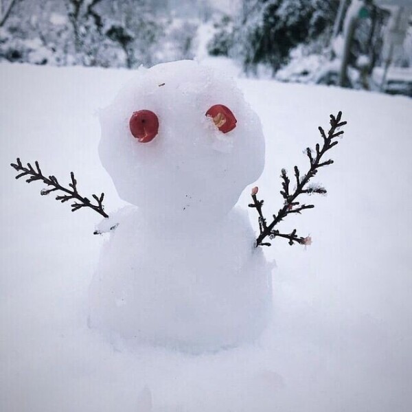 変更のお知らせ❄