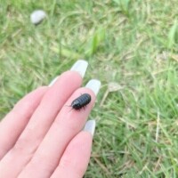 はじめまして♡