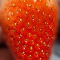 大好き苺🍓