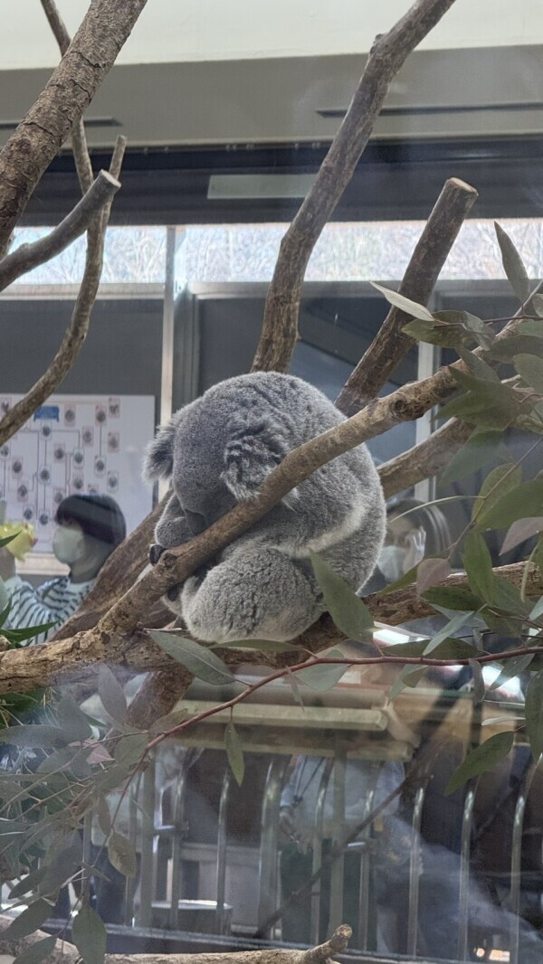 可愛かった❤️