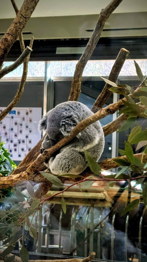 可愛かった❤️