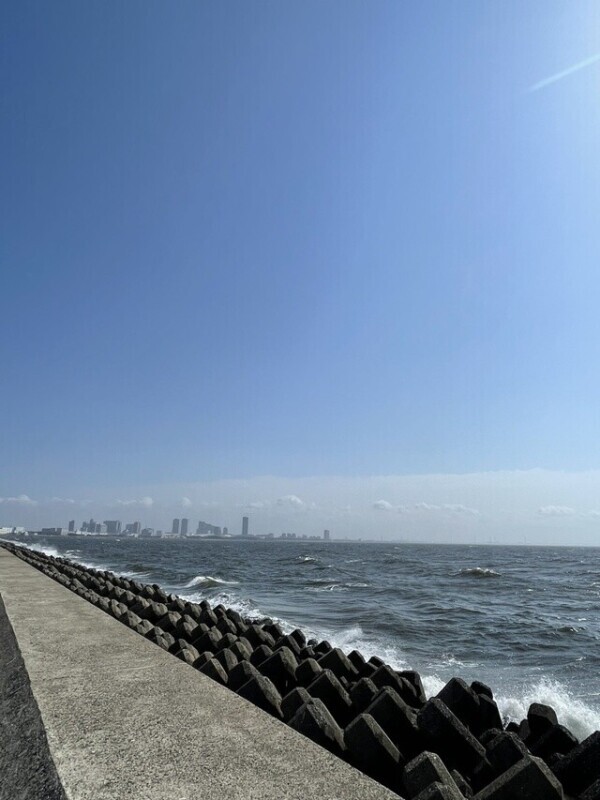 眺める。。。🥰