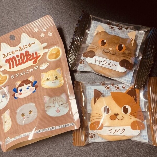 ねっこねこー(ㆁωㆁ*)みやび