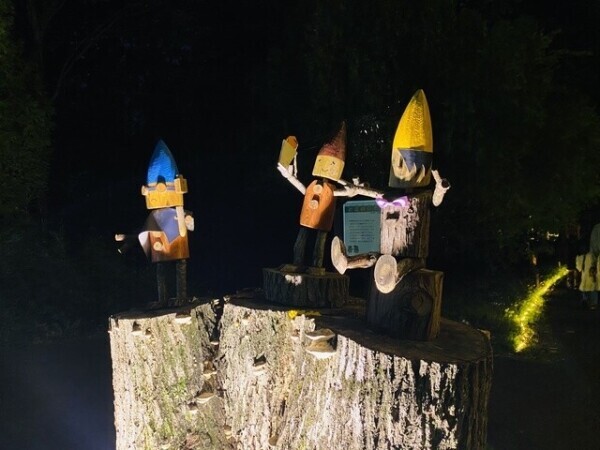 昨日から。。。💦