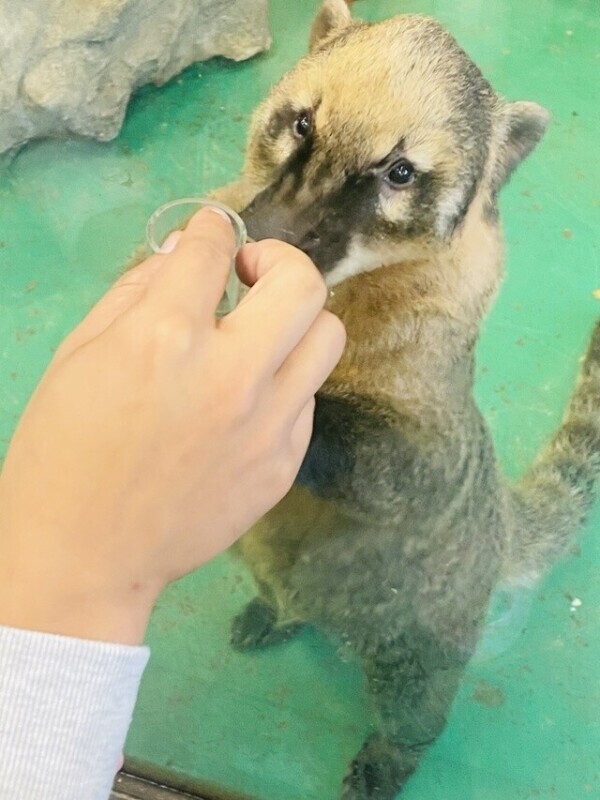 ☀️𝓖𝓸𝓸𝓭  𝓶𝓸𝓻𝓷𝓲𝓷𝓰🍳🍞