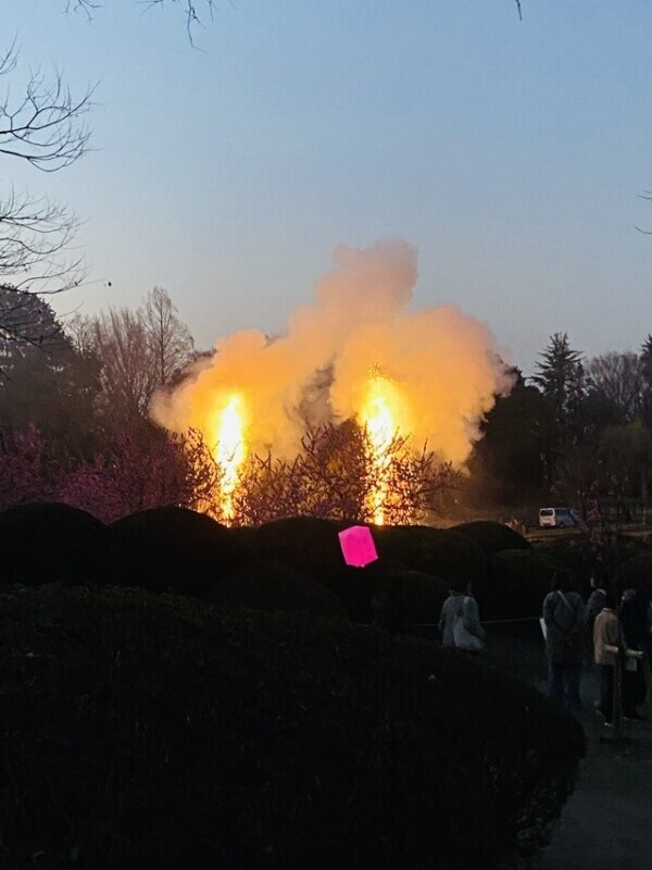 𝔾𝕠𝕠𝕕 𝕄𝕠𝕣𝕟𝕚𝕟𝕘 ‪🔆‬