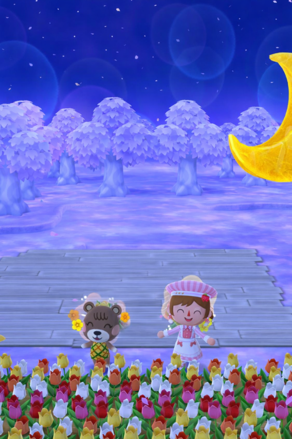 明日の夜いますよー❣️