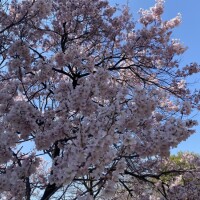 みさ