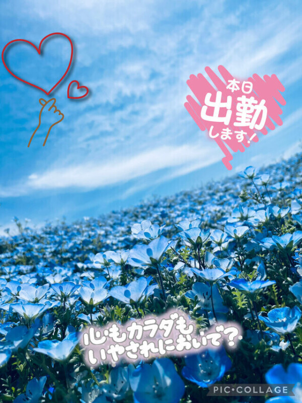 しますよ〜🤭💕