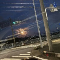 たまたま