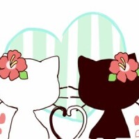 おはようございます☆