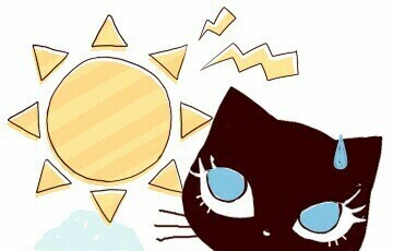 おはようございます☆