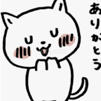 ありがとうございました🍀
