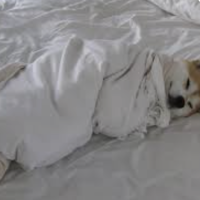 おやすみなさい😪💤