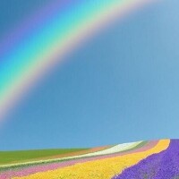 おはようございます☀