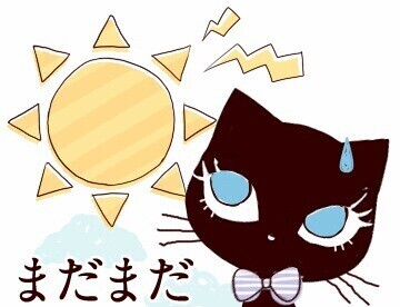おはようございます☆