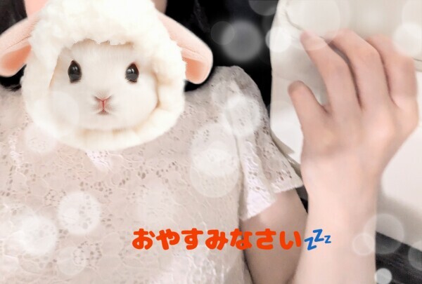 おやすみなさい
