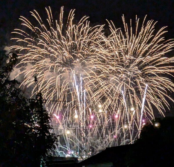 花金